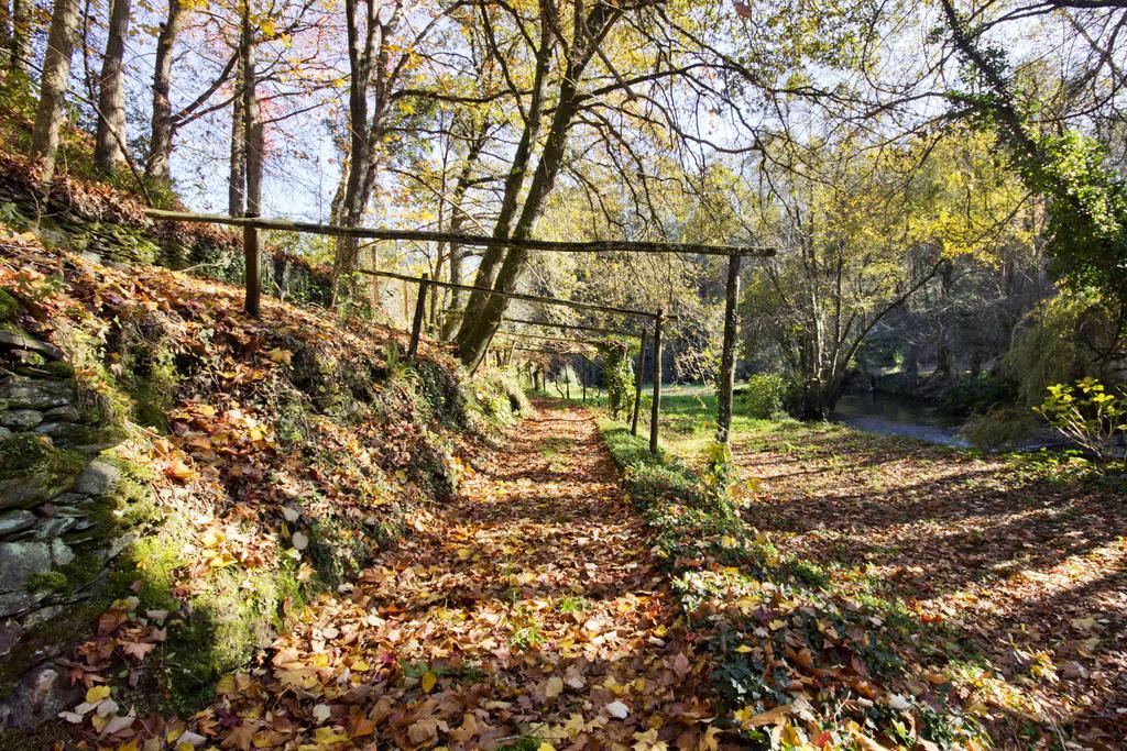 Quinta De Mouraes - Casa Do Xisto Konuk evi Lever Dış mekan fotoğraf